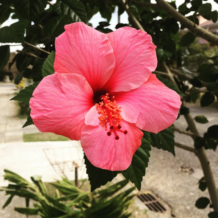 48544FD9-7DC6-49DA-8242-84994FBDC48B